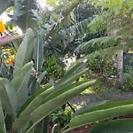 City View Gardens