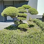Villa Bonsai