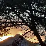 Quintinha Das Lombas S