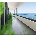 The View Madeira