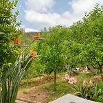 Chalet Da Nogueira, A Home In Madeira