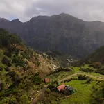 Ponderosa Madeira