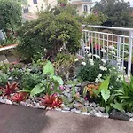Comfortable House In Ponta Do Sol With Terrace And Barbecue
