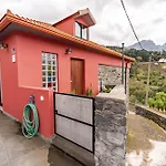 Madeira Bird House - House In The Mountains With Garden