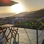 Banana Tree House