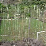 Faja Dos Padres