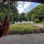Nature Retreat - Laurel Forest