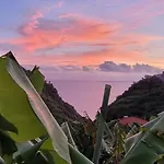 Banana Garden