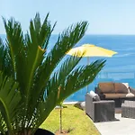 Sonho Do Oceano