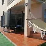 O Dragoeiro Da Madalena!
