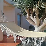 O Dragoeiro Da Madalena!