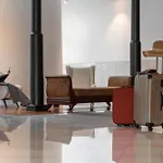 Savoy Insular VI By An Island Apart