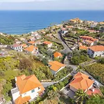 Palm Tree House By Madeira Sun Travel