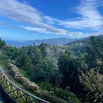 Baia Seixal Oceanfront