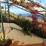 Ferienhaus In Faja Da Ovelha Mit Garten