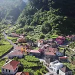 Roots Guesthouse - A