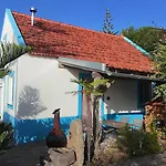 Lucky Lemons - Boutique Houses Madeira - 2