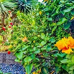 Villa Atlantico, Your Family&Friends Retreat