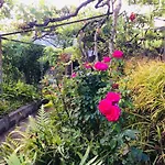Quinta Da Colina