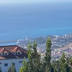 Carros De Cesto Do Monte