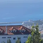 Carros De Cesto Do Monte