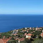 Ocean And Palms