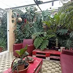 Kanela Guest House