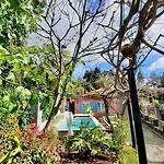 Quinta Belmonte With Private Heated Pool In Funchal