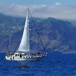 Ourmadeira - Terracesea Alecrim