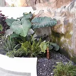 Holiday Apartments Funchal - Bouganvilla