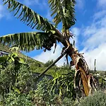 Paraiso Madeira Studios