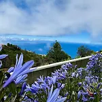 New! Nature Paradise With Ocean View & Hot Tubs