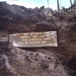 Machico Nature