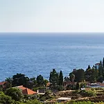 Canico VI By An Island Apart