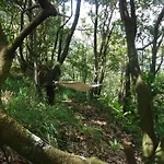 Nature Inn Madeira - Glamping