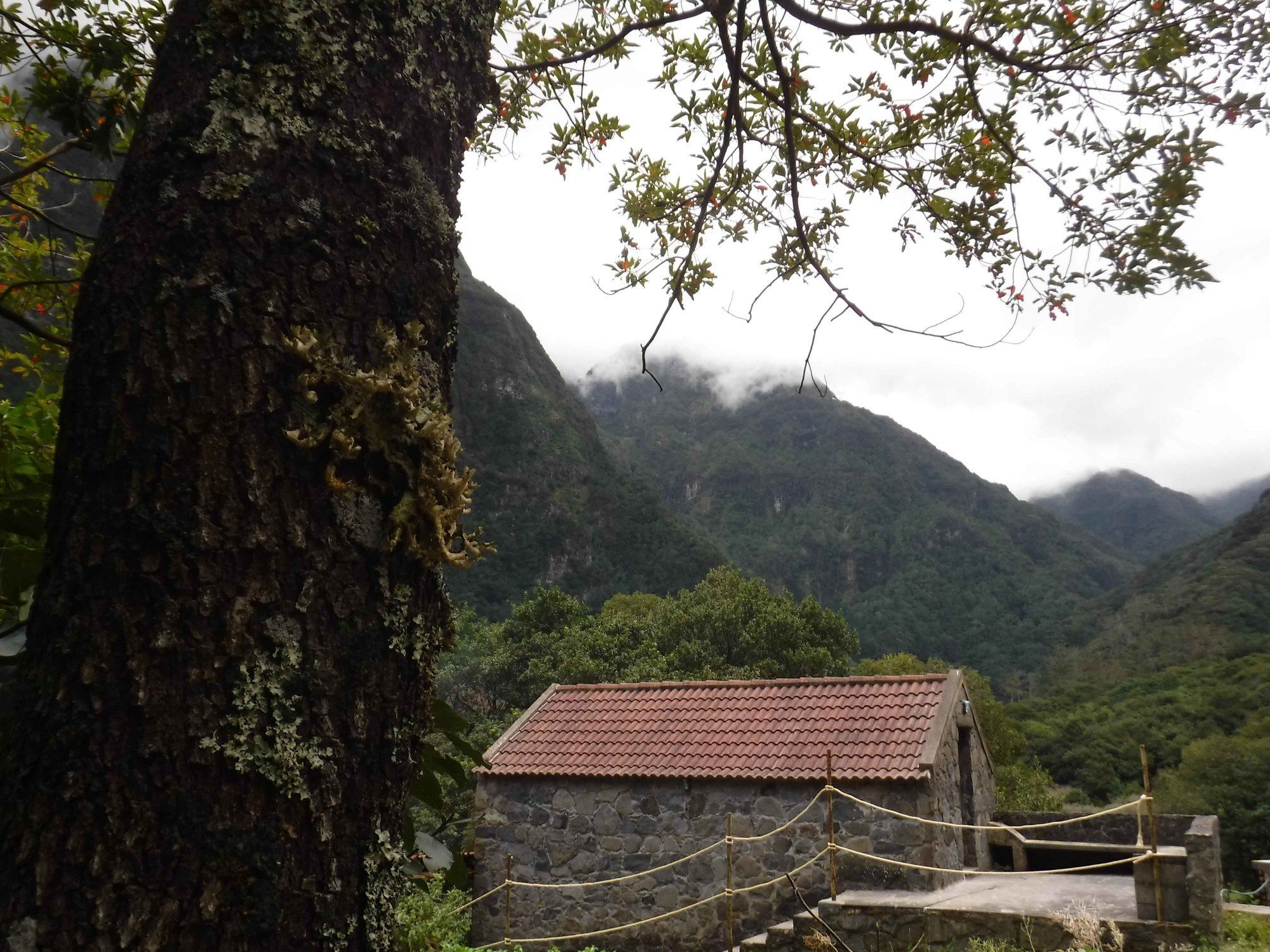 Ξενοδοχείο Nature Madeira - Glamping Porto Moniz